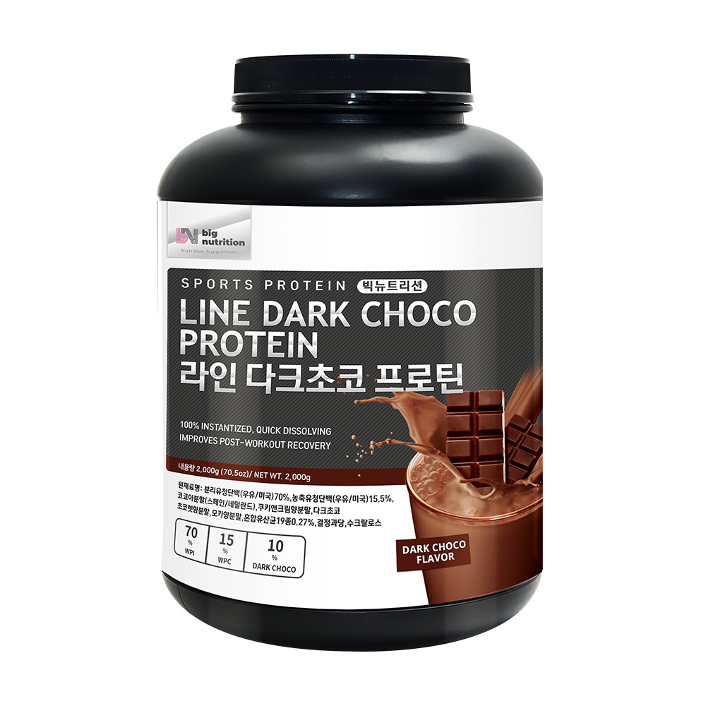 빅뉴트리션 라인 다크초코 프로틴 /단백질보충제